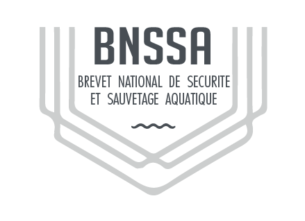 logo bnssa